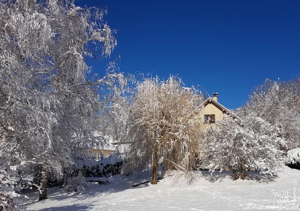 Studio Cosy Et Fonctionnel Entre Saule Et Lilas Виллар-де-Ланс Экстерьер фото